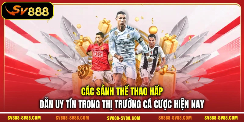 Các sảnh thể thao hấp dẫn uy tín trong thị trường cá cược hiện nay