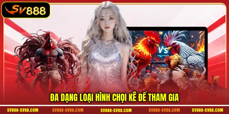 Đa dạng loại hình chọi kê để tham gia Đa dạng loại hình chọi kê để tham gia