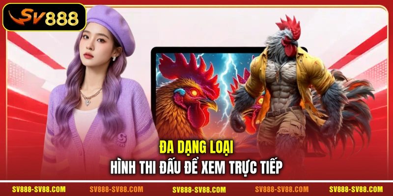 Đa dạng loại hình thi đấu để xem trực tiếp Đa dạng loại hình thi đấu để xem trực tiếp