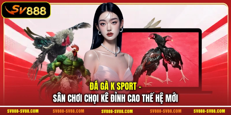 Đá Gà K Sport - Sân Chơi Chọi Kê Đỉnh Cao Thế Hệ Mới