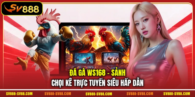 Đá Gà WS168 - Sảnh Chọi Kê Trực Tuyến Siêu Hấp Dẫn