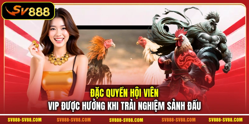 Đặc quyền hội viên VIP được hưởng khi trải nghiệm sảnh đấu Đặc quyền hội viên VIP được hưởng khi trải nghiệm sảnh đấu