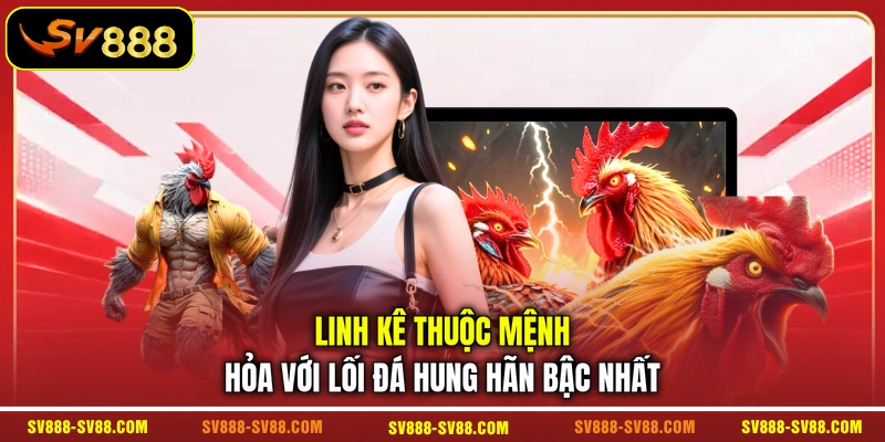 Linh kê thuộc mệnh Hỏa với lối đá hung hãn bậc nhất Linh kê thuộc mệnh Hỏa với lối đá hung hãn bậc nhất