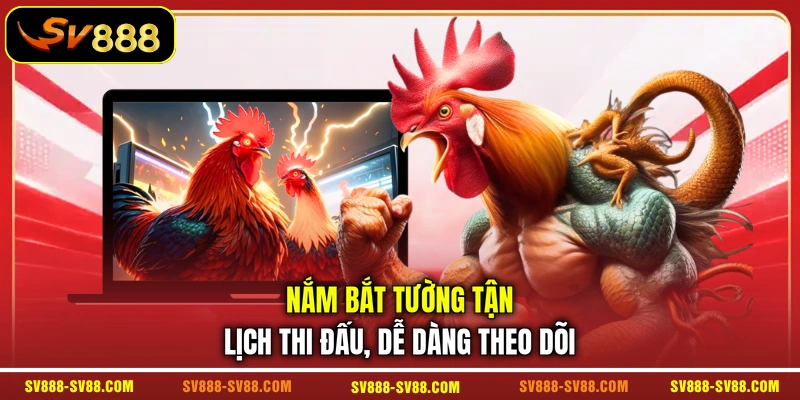 Nắm bắt tường tận lịch thi đấu, dễ dàng theo dõi Nắm bắt tường tận lịch thi đấu, dễ dàng theo dõi