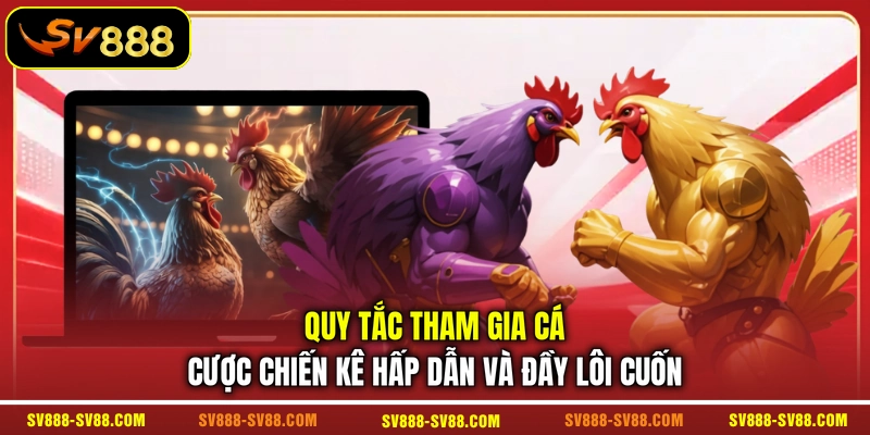 Quy tắc tham gia cá cược chiến kê hấp dẫn và đầy lôi cuốn Quy tắc tham gia cá cược chiến kê hấp dẫn và đầy lôi cuốn