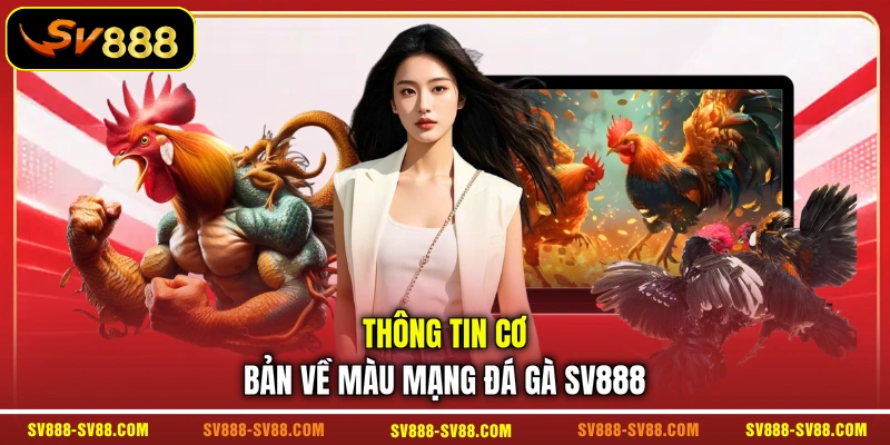 Thông tin cơ bản về màu mạng đá gà SV888 Thông tin cơ bản về màu mạng đá gà SV888