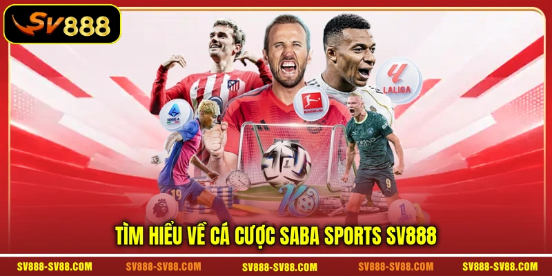 Tìm hiểu về cá cược SABA Sports SV888 Tìm hiểu về cá cược SABA Sports SV888
