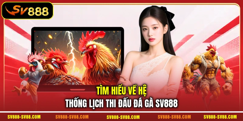 Tìm hiểu về hệ thống lịch thi đấu đá gà SV888 Tìm hiểu về hệ thống lịch thi đấu đá gà SV888