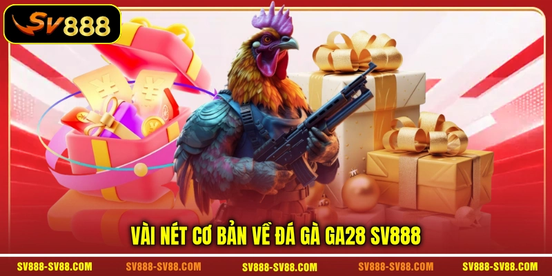 Vài nét cơ bản về đá gà GA28 SV888 Vài nét cơ bản về đá gà GA28 SV888