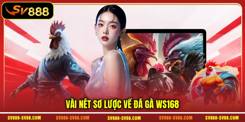 Vài nét sơ lược về đá gà WS168 Vài nét sơ lược về đá gà WS168
